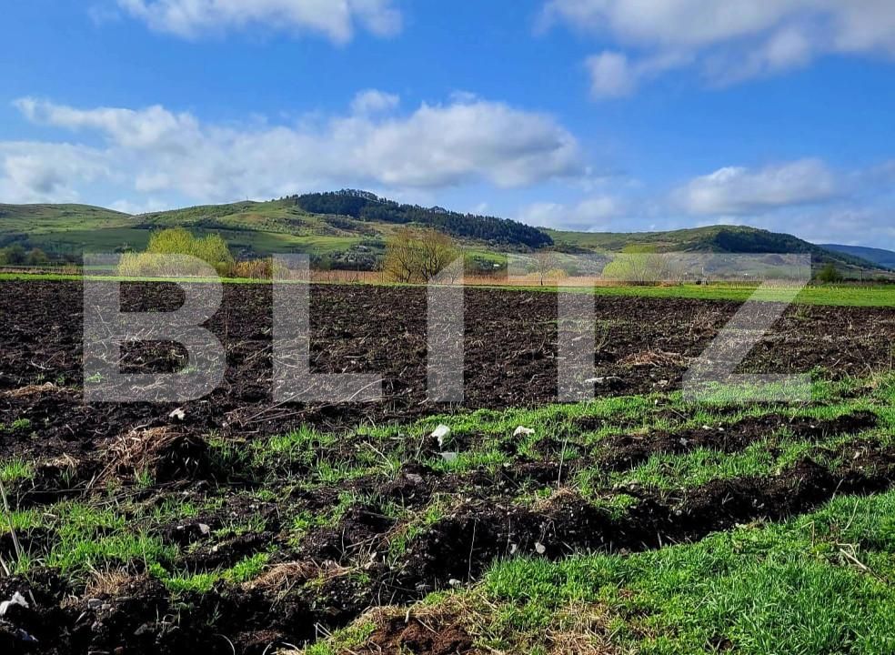 Teren de vânzare Exterior Est - 144491TV | BLITZ Cluj-Napoca | Poza5