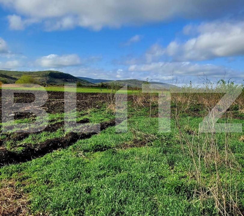 Teren de vânzare Exterior Est - 144491TV | BLITZ Cluj-Napoca | Poza6