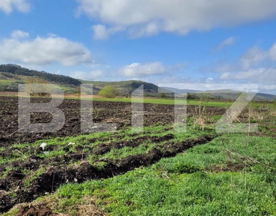 Teren de vânzare Exterior Est - 144491TV | BLITZ Cluj-Napoca | Poza7