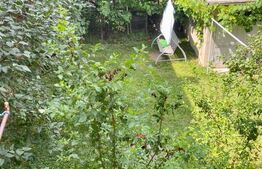 Apartament de 2 camere, tavan inalt, 60mp, garaj si curte, zona Traian Mosoiu