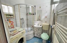 Apartament de 2 camere, tavan inalt, 60mp, garaj si curte, zona Traian Mosoiu