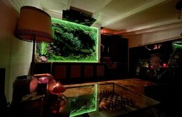 Apartament deosebit, 2 camere, terasa de 35 mp, Buna Ziua