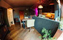 Apartament deosebit, 2 camere, terasa de 35 mp, Buna Ziua