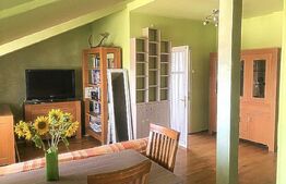 Apartament 3 camere in vila, 76.7 mp, zona Andrei Muresanu