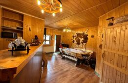 Cabana 10 camere, 220mp, mobilata si utilata, comuna Belis