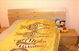 2 camere, 50 mp, etaj intermediar, partial mobilat, zona strazii Jupiter