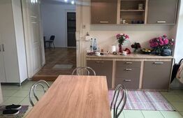 Apartament, 1 camera, 54 mp, zona Memorandumului