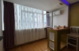 Garsoniera ,  30 mp, zona Bulevardul Garii