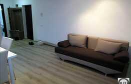 2 camere, 55 mp, mobilat modern, parcare, terasa, zona strazii Campului!