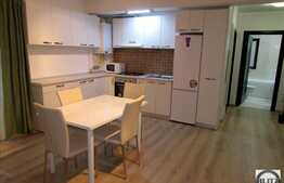 2 camere, 55 mp, mobilat modern, parcare, terasa, zona strazii Campului!