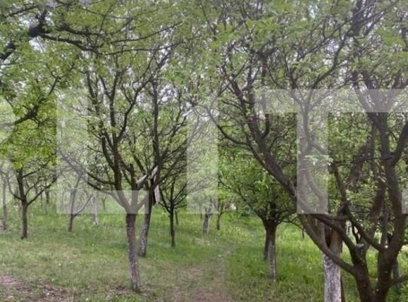 Casa de vânzare 1 camera Iris - 144833CV | BLITZ Cluj-Napoca | Poza1