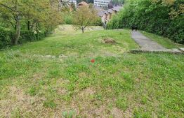 Casa individuala cu teren de 2000 mp in Grigorescu