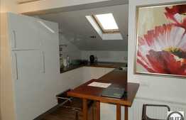 2 camere, 56 mp, constrcutie tip vila, zona strazii Buna Ziua