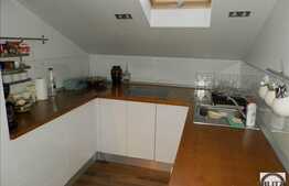 2 camere, 56 mp, constrcutie tip vila, zona strazii Buna Ziua