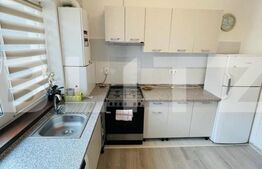 Apartament 1 camera, 38mp, cochet, zona Teilor