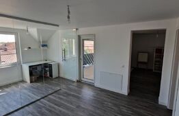 Casa ultrafinisata si mobilata, 150 mp utili, 157 mp teren, Dambul Rotund