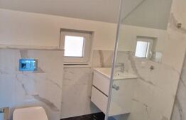 Casa ultrafinisata si mobilata, 150 mp utili, 157 mp teren, Dambul Rotund