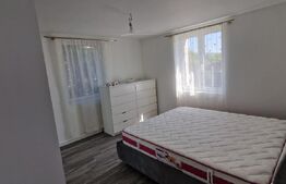 Casa ultrafinisata si mobilata, 150 mp utili, 157 mp teren, Dambul Rotund