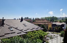 Casa ultrafinisata si mobilata, 150 mp utili, 157 mp teren, Dambul Rotund