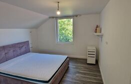 Casa ultrafinisata si mobilata, 150 mp utili, 157 mp teren, Dambul Rotund