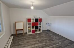 Casa ultrafinisata si mobilata, 150 mp utili, 157 mp teren, Dambul Rotund