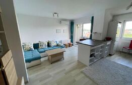 Apartament 2 camere, etaj intermediar, parcare subterana, zona Vivo