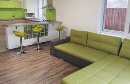 Duplex 200 mp utili, prima inchiriere, totul nou, zona strazii Edgar Quinet
