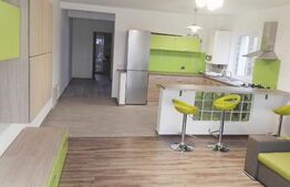 Duplex 200 mp utili, prima inchiriere, totul nou, zona strazii Edgar Quinet