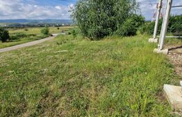 Teren extravilan, Hala 100 mp, teren 600 mp, acces facil, Zona Emerson