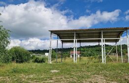 Teren extravilan, Hala 100 mp, teren 600 mp, acces facil, Zona Emerson