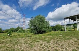 Teren extravilan, Hala 100 mp, teren 600 mp, acces facil, Zona Emerson