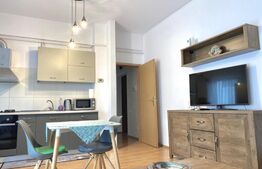 Apartament de 2 camere, semidecomandat, 50 mp, zona Mcdonalds