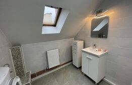 Spatiu de birou, 115 mp, clădire istorică, zona Piața Muzeului