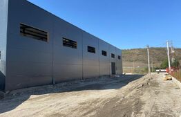 Hala noua de inchiriat, 590 mp, teren 1682 mp, Apahida