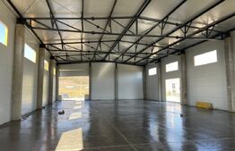 Hala noua de inchiriat, 590 mp, teren 1682 mp, Apahida