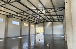 Hala noua de inchiriat, 590 mp, teren 1682 mp, Apahida