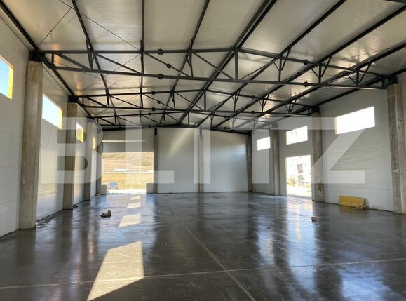Spațiu industrial de închiriat Apahida - 145024SII | BLITZ Cluj-Napoca | Poza1