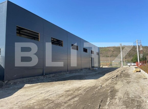 Spațiu industrial de închiriat Apahida - 145024SII | BLITZ Cluj-Napoca | Poza6