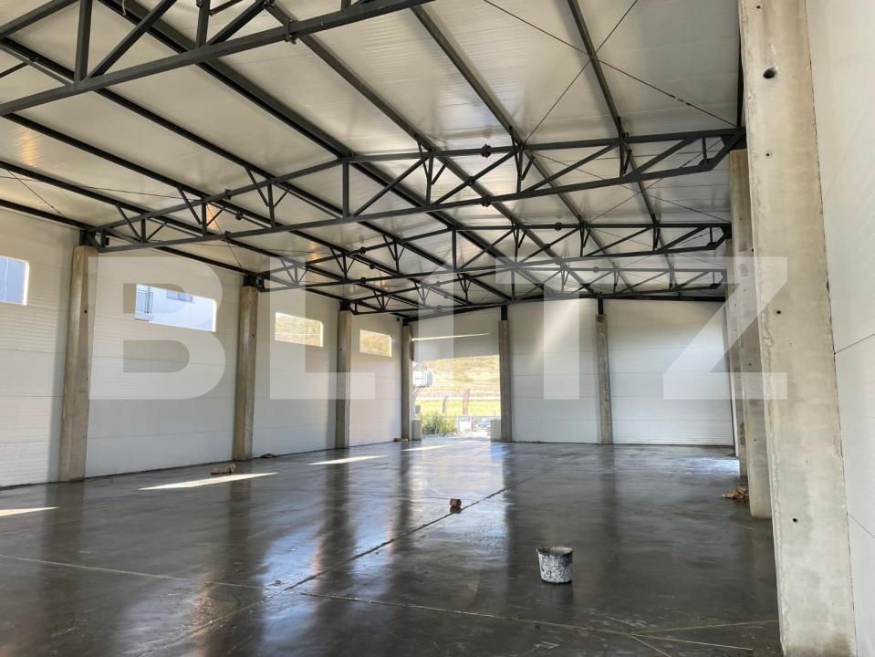 Spațiu industrial de închiriat Apahida - 145024SII | BLITZ Cluj-Napoca | Poza2