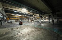 Hala cu pod rulant pe Bulevardul Munci, suprafete in functie de nevoie