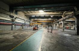 Hala cu pod rulant pe Bulevardul Munci, suprafete in functie de nevoie