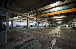 Hala cu pod rulant pe Bulevardul Munci, suprafete in functie de nevoie