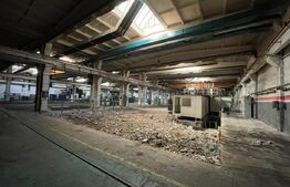 Hala cu pod rulant pe Bulevardul Munci, suprafete in functie de nevoie