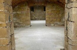 Spatiu comercial/alimentatie publica, 540 mp, curte de 60 mp cu terasa