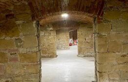 Spatiu comercial/alimentatie publica, 540 mp, curte de 60 mp cu terasa