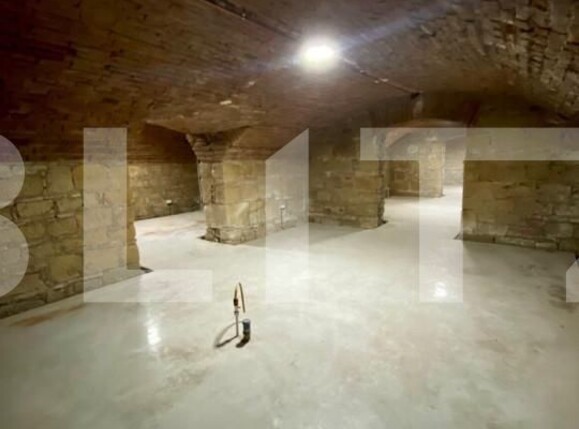 Spațiu comercial de închiriat Semicentral - 145033SIC | BLITZ Cluj-Napoca | Poza6