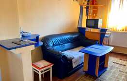 Apartament 2 camere,decomandat,50 mp,zona Kaufland Marasti