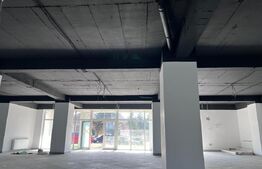 Spatiu comercial, 282 mp, bloc nou, zona Coneliu Coposu