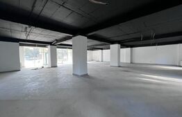Spatiu comercial, 282 mp, bloc nou, zona Coneliu Coposu