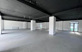 Spatiu comercial, 282 mp, bloc nou, zona Coneliu Coposu